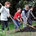 Pine Hill School pupils (from left) Ariana Smith (9), Te Whitu Mokomoko (5), Grayson Smith (7)...