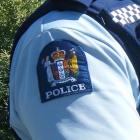 police_could_charge_to_patrol_for_profit_private_e_4f2a618d92.JPG