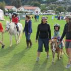 Pony rides, as well as rides in a police car and a fire engine proved popular.
