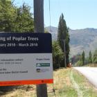 Poplar trees were felled along Lower Shotover Rd in February, but more poplars along Speargrass...