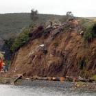 Portobello Rd remained closed last night after a fall of earth and large macrocarpas on Saturday...