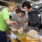 Postdoctoral physiology student Victoria Scott (left) talks to Elizabeth Langer, a...