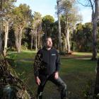 Pounawea Motor Camp lessee Glenn Maxwell yesterday inspects the area of the camp where native...