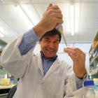 Prof Michael Eccles, director of the University of Otago developmental genetics and pathology...