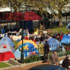 Protesters' tents in the Octagon yesterday. Photo: Jane Dawber