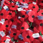 qt-poppyday2-apr20.JPG