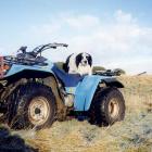 quadbike.jpg