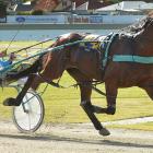 Quick As A Trick is dominant in the c1 2200m mobile pace at Forbury Park last night. Photo by...