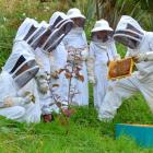 Rentahive owner Murray Rixon shows a bee frame to (from left) Rudolf Steiner School teacher Renee...