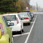 Rental cars parked in Miller Rd, near the turn-off to Dunedin International Airport, yesterday....