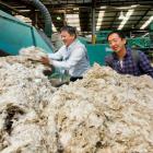 Representative from Japanese retail chain Muji handle some of the wool that will go from the...