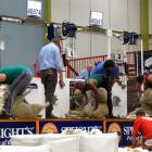 Representing their countries in the Tri-Nations fine wool shearing machine shearing test match in...