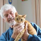Retired Mosgiel resident Dave Radley  wants to know why somebody shot his cat, Reddy, blinding...