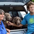 Richard and Kim Ogier, of Dunedin, with the two dogs, Winnie and Casper, they saved from a house...