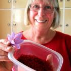 Roberta Laraman holds saffron harvested from her Twizel garden. Photos by Sally Rae.