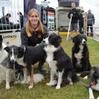 Rotorua woman Chelsea Marriner with five of her trained dogs (from left) Shift, Flash, Spy, Quest...