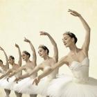 Royal New Zealand Ballet dancers (from left) Katherine Grange, Yang Liu, Katie Hurst-Saxton, Cat...