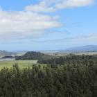 Rugged scenery along the  road south of Jackson Bay.