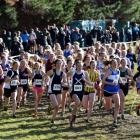 Runners jostle for position at the start of the senior girls race in the New Zealand secondary...