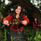 Kaikorai Valley College science pupils (from left) Angel Durham (13), Desiree Raukura (14),...