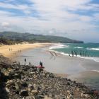 Seals are often spotted on Dunedin beaches, including at St Clair. Photo: ODT files