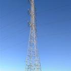 Selling our electricity companies is akin to selling the goose that lays the golden eggs.  For a...