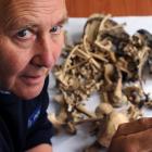 Senior Constable Lox Kellas holds the .22 bullet discovered with the remains of a sea lion found...