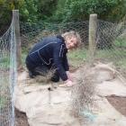 Setpoint Solutions employee Kathi Knox works on establishing habitat for jewelled geckos. Photo...