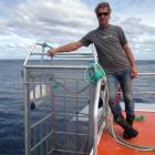 Shark Dive NZ director Peter Scott, of Dunedin, does not believe cage diving is encouraging...