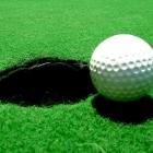 sig_golfball_jpg_50ac4b198c.jpg