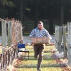 Simon Gourley, of Two Paddocks vineyard, competes in the Hortsports section of the Young...