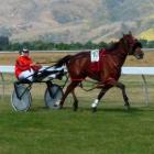 Smiling Star paces clear to win the Cromwell Cup yesterday. Photo by Matt Smith.