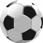 soccerball (Medium).jpg