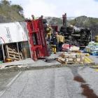 Some of the hazardous substances spilled when a Mainfreight truck and trailer crashed in the...