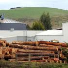 Southern Cross Forest Products' Mosgiel plant. Photos by Craig Baxter.