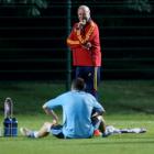 Spain's national soccer coach Vicente del Bosque looks at Andres Iniesta on the pitch during a...