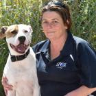 SPCA Otago dog manager Lisa Gerard with 3-year-old American bulldog-cross Tangi, who is available...