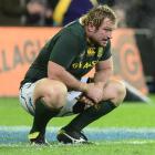 Springbok prop Jannie du Plessis reflects on the All Blacks' 21-11 win. Photo by Craig Baxter.