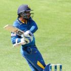 Sri Lanka's Kumar Sangakkara hits out on his way to his century against New Zealand in Wellington...