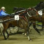 Steal A Grin (13) gets home to beat Spirit Of Chronos (5) and Havinaravup (1) in the junior...