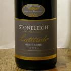 stoneleigh_pin_no_10_2_Medium.JPG