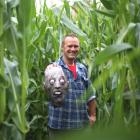 Studholme horror Maize Maze creator Rory Foley checks the maize  field in preparation for the...