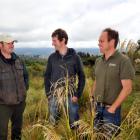 Surveying an area earmarked for the release of a takahe pair at the Orokonui Ecosanctuary are ...