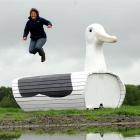 Taieri District Pony Club president Anne Beattie leaps off the novelty albatross jump, part of...