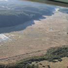 Takitakitoa wetland near Henley. Photo supplied.