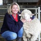 Tarras sheep-classer Jayne Rive is passionate about merino sheep breeding. Photo by Tui Willson...