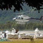 Tb vector control in Otago is likely to target hot spots in the future. Photo by Stephen Jaquiery.