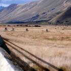 Team Subway riders set off into the wild blue yonder after crossing the Oreti River earlier this...