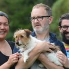 Thanks to  Juliette Parsons (left) Josh Thomas (centre) and Dudley Benson are reunited with dog...