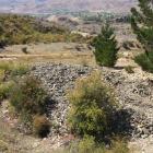 The Bannockburn site where tailings were removed from between the small and large pine trees....